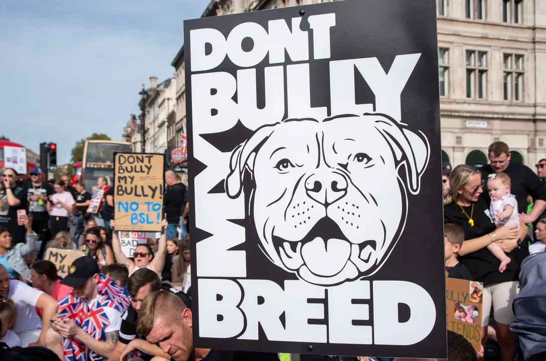 No proposed Pit Bull ordinance in Trussville Alabama