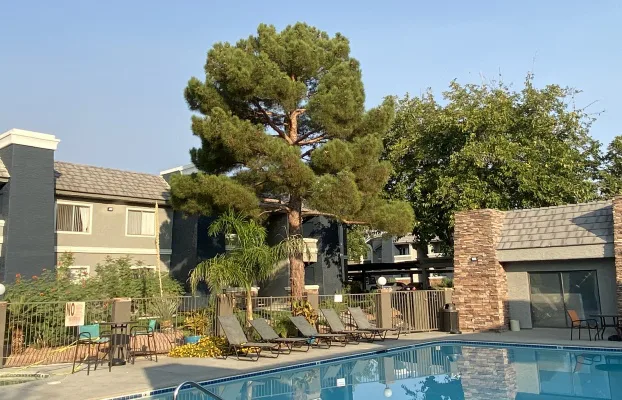 Save the Pine at the Allanza Pool