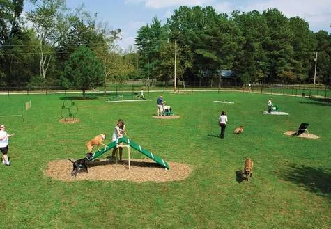 A properly sized dog-park in Puerto Aventuras
