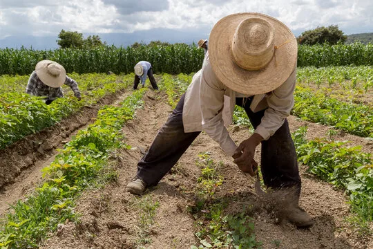 Justice for Hispanic Farmers