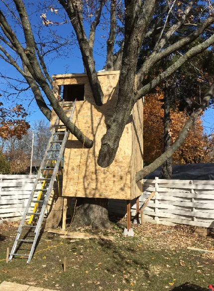 Keep the tree house ALIVE at 405