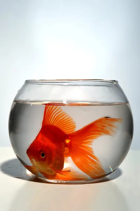 Stop Selling Fishbowl kits for goldfish or bettas!
