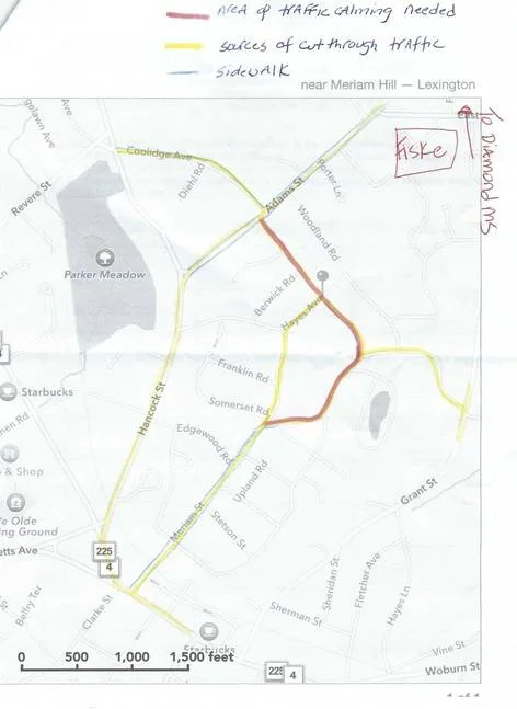 Meriam St Traffic Calming - Transportation Safety Request