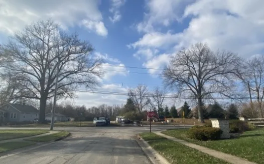 Save the Nagel Trees