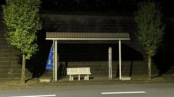 A Night Bus For Caterham