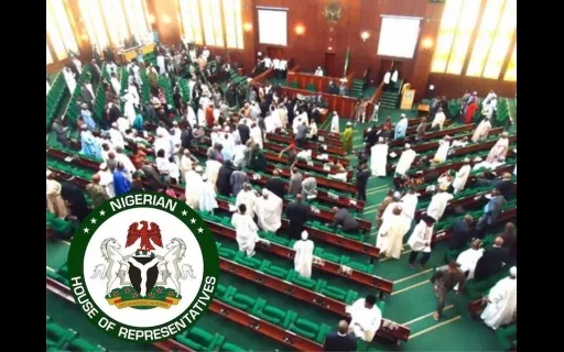 Removal Of Tahir Mamman as Minister Of Education Due to Incompetency