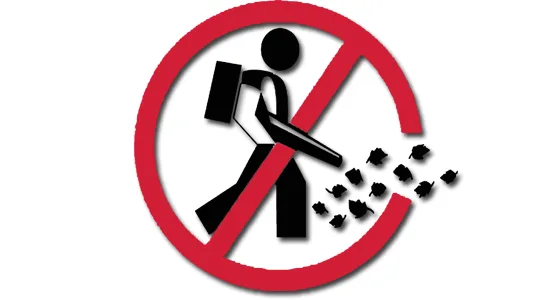 Proposal to Ban Gas-Powered Leaf Blowers in the City of Coral Gables Florida
