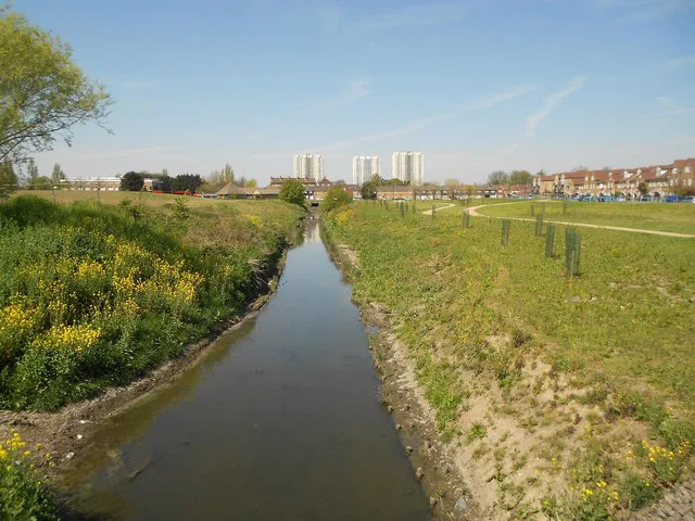 Salmon Brook 