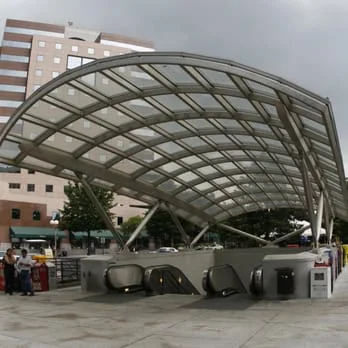 Save the Pine Tree at the Clarendon Metro