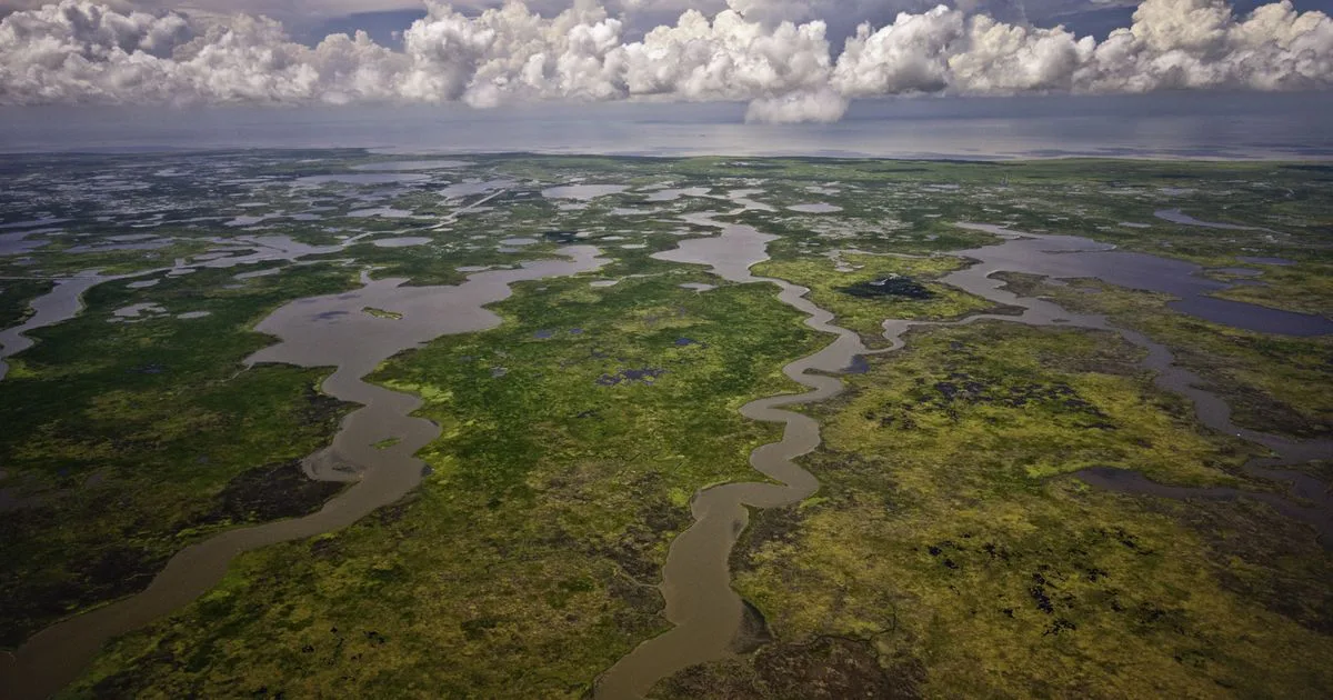 Pledge to America's Coast