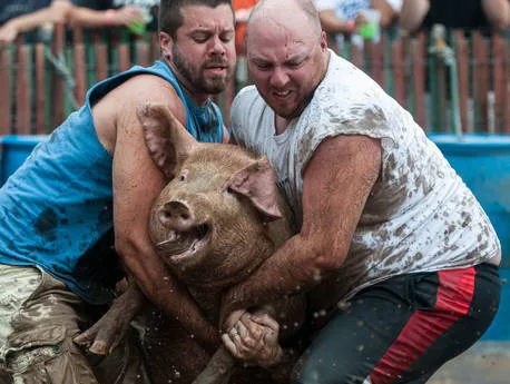Add Greased up Hog Wrastlin' to PIAA Wrestling Rules