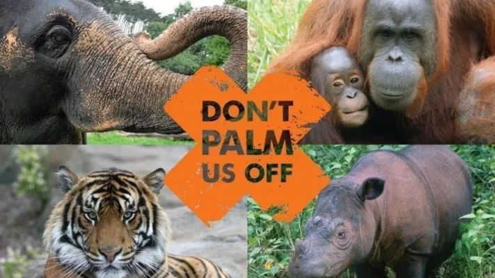 Stop Killing Orangutans-Ban Palm Oil
