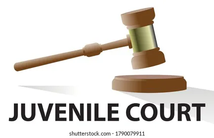 Change The Young Offenders Act