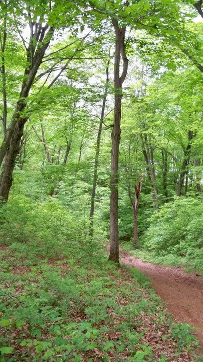 Remove the Haddam Land Swap from SB1196