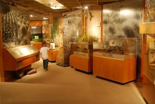 A Museum of Science and Arts at Evergreen Valley College