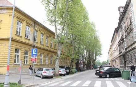 Potpisivanje peticije za ocuvanje drvoreda platana starih 100g!