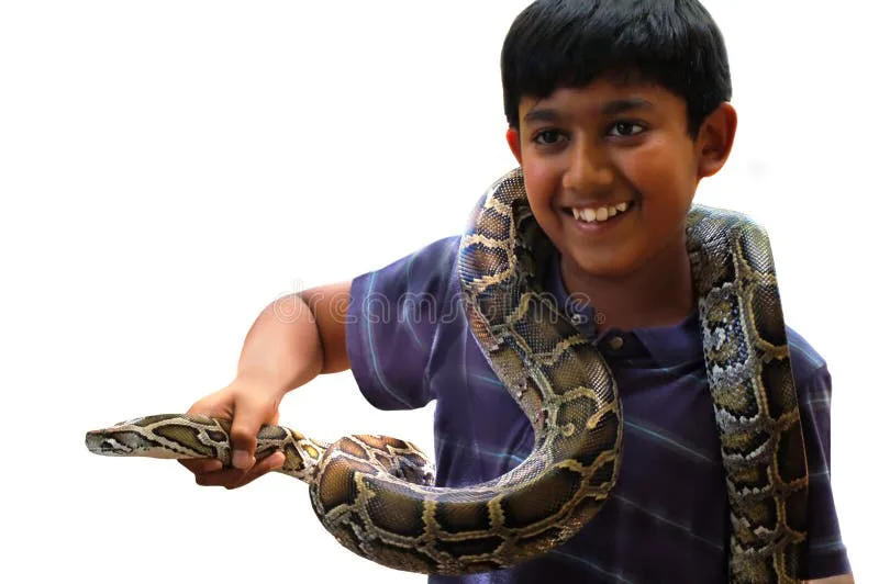 Dr. Spilling should let his son get a snake!