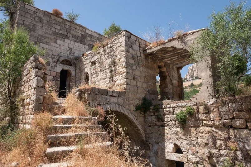 New Petition to save Lifta