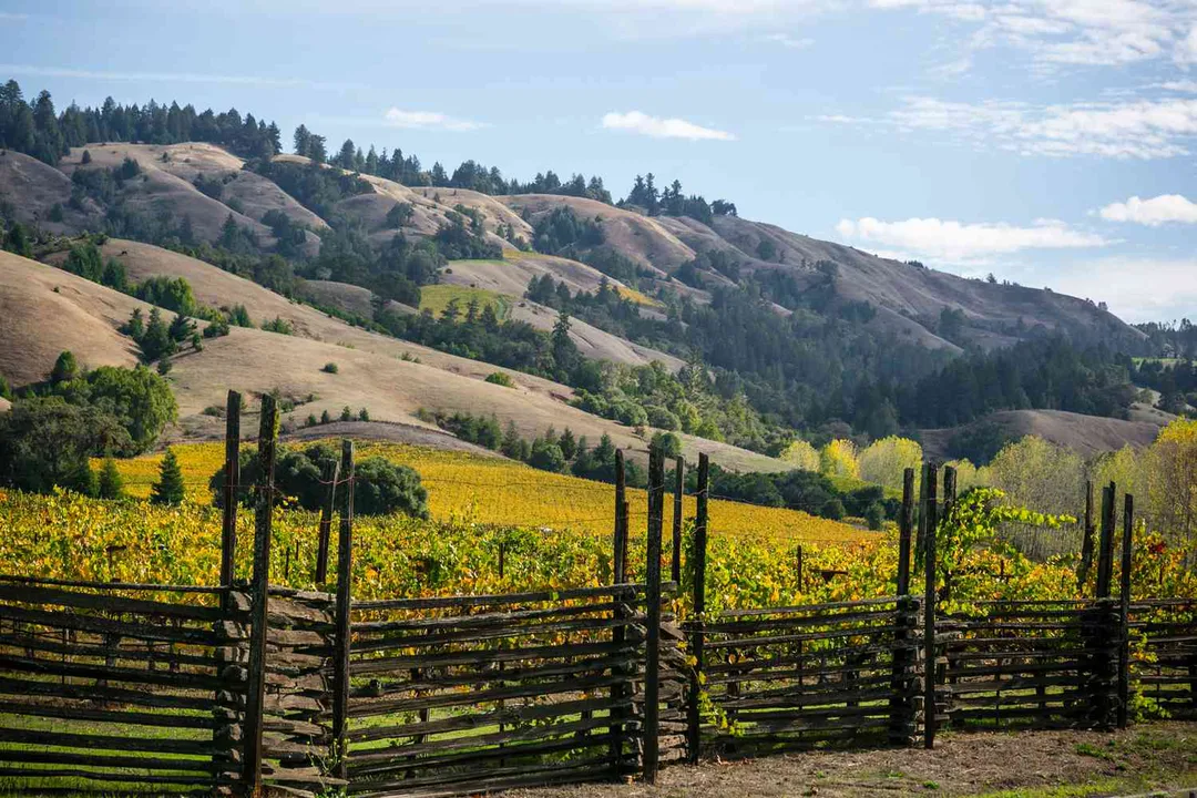 Mendocino County Working Group Comments on CA Emergency Cannabis Regulations