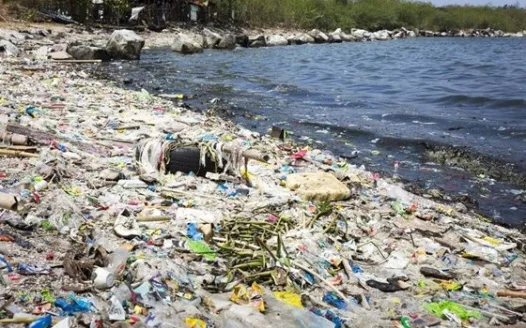 Ban Single-Use Stryofoam in Attleboro, MA