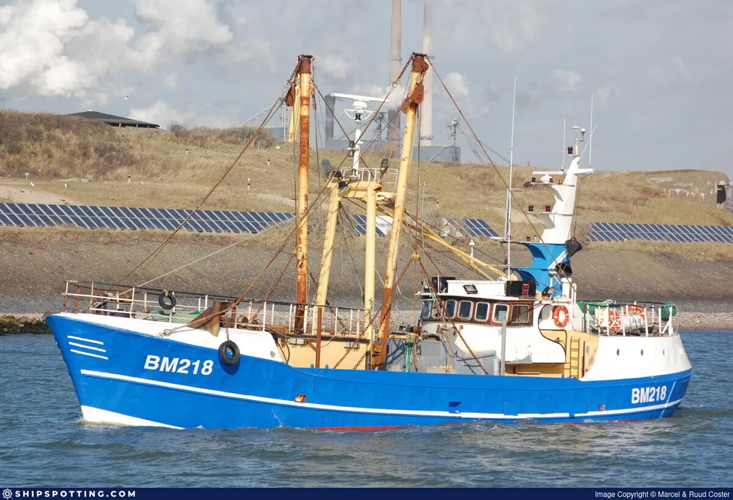 De Blauwe Vis terug in het Haringvliet