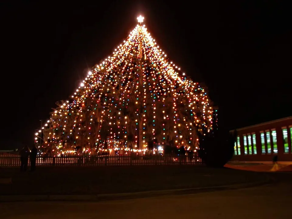 Save the Christmas tree