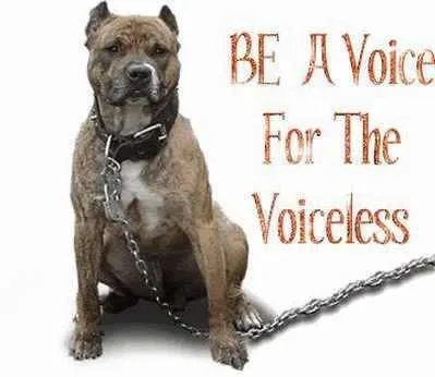 Get the dog fighting pages removed from facebook.