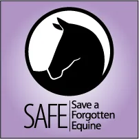 Justice for Jemma and her horse Millie 