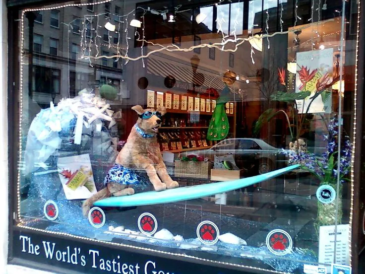 Stop \"upscale\" puppy-mill pet stores now!