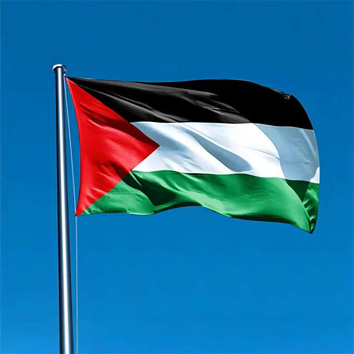 Make Palestine a country?