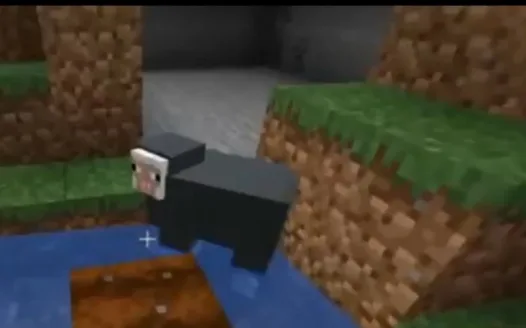 Justice For Water Sheep