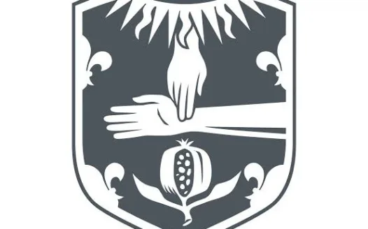 Petition for Vote of No Confidence in Royal College of Physicians Leadership