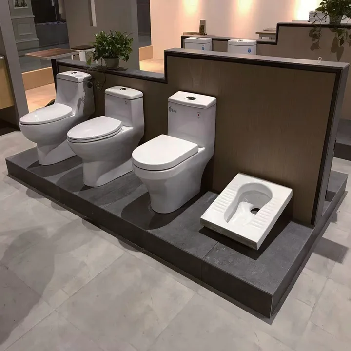 Please Lower Toilet Display