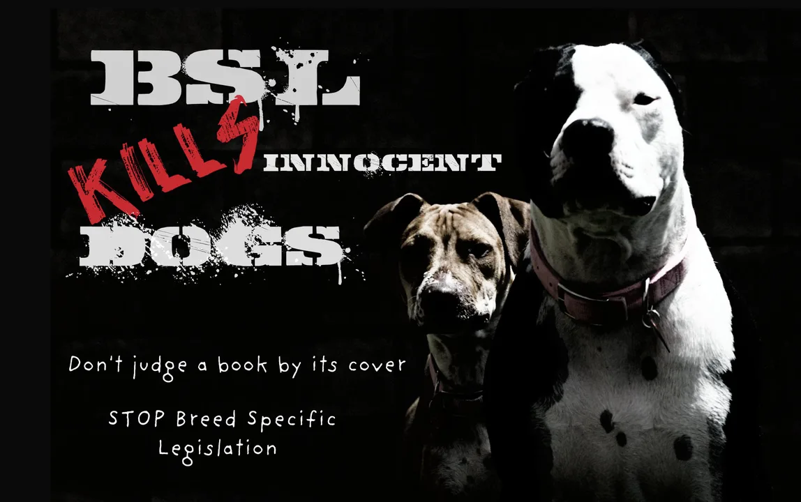 Maryland BSL