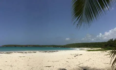 SAVE VIEQUES