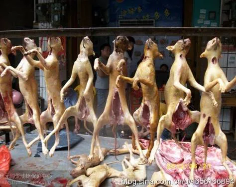 Save lives in Yulin