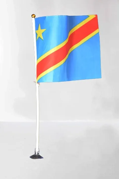2011 Free, Trasparent, Democratic and Peaceful Congolese Presidential Election