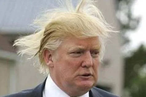 Deport Donald Trump from the United States