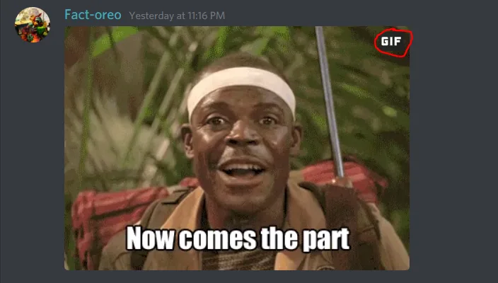JUSTICE FOR GIFS