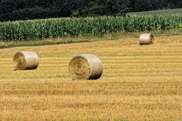 Preserve Agricultural Land Zoning in Wright County