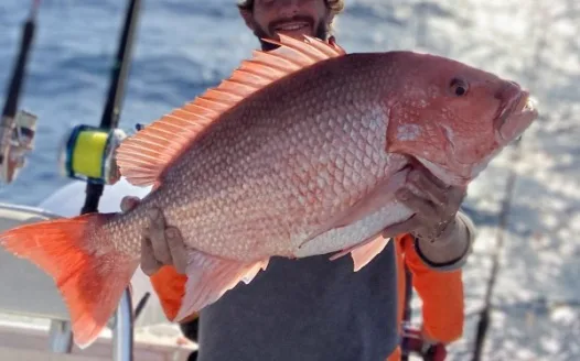 Change to current red snapper laws in the south Atlantic region