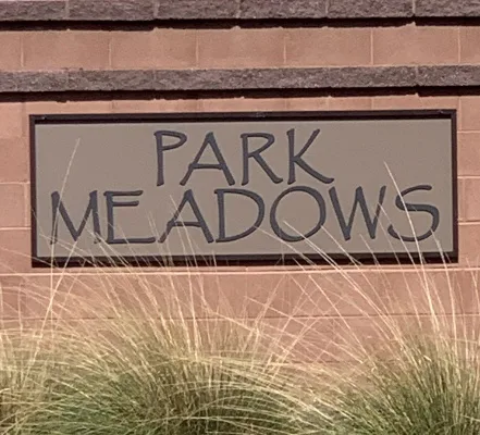 Park Meadows HOA - Damian Gudino - VP Recall Petition