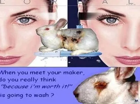 boycott l'Oreal