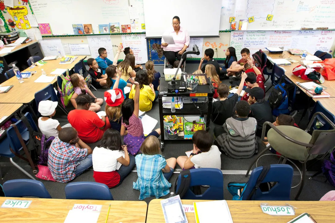 Meadow Brook Elementary Class Sizes