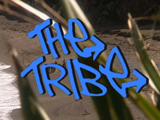 The Tribe weiter auf DVD