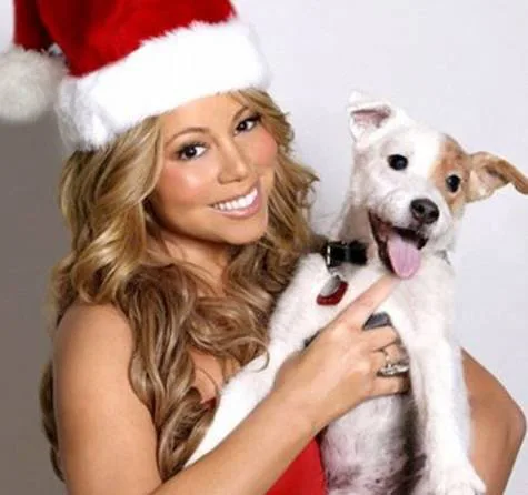 Get Mariah Carey's recording of "Where are you, Christmas" Released