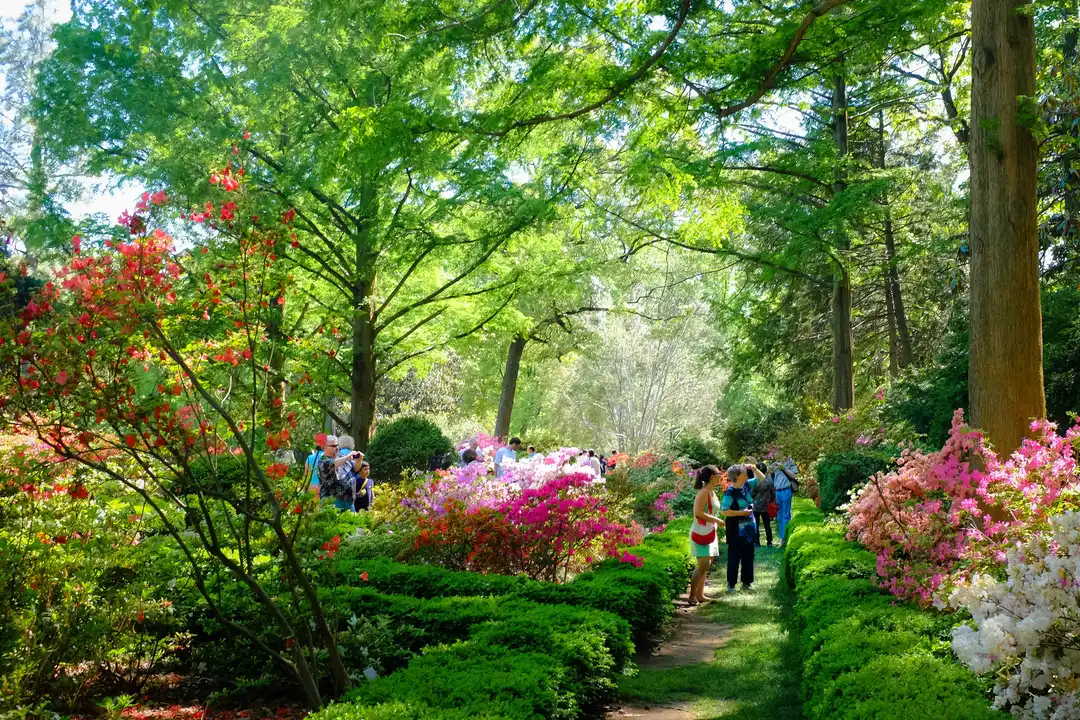 Oppose Budget Cuts to U.S. National Arboretum