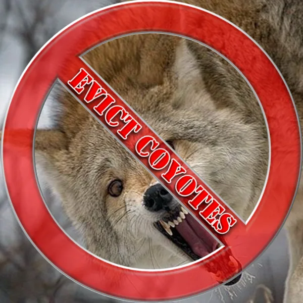 Evict Coyotes - California