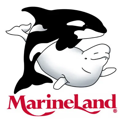 Stop Animal Cruelty At Marine Land