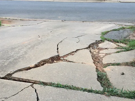 Fix the Garden Oaks Alleyways